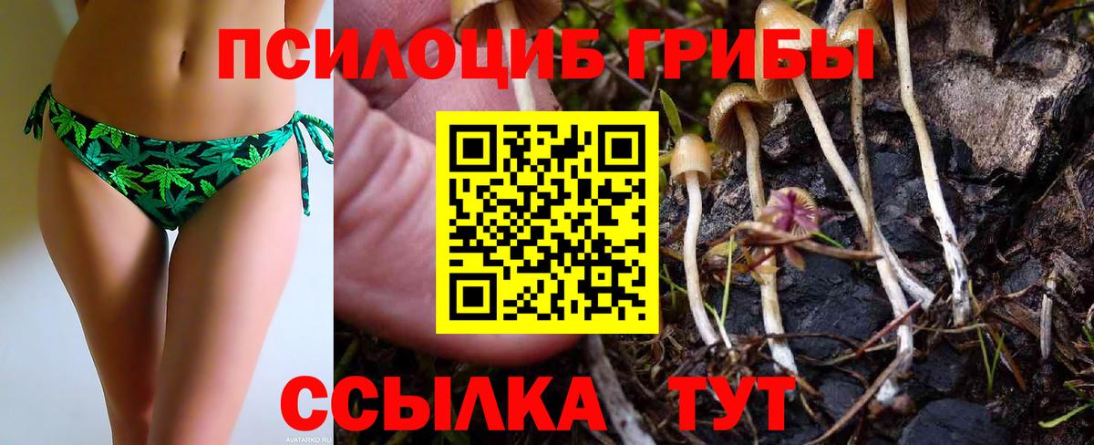 Галлюциногенные грибы GOLDEN TEACHER  Вход с VPN  где можно купить   Зеленодольск 